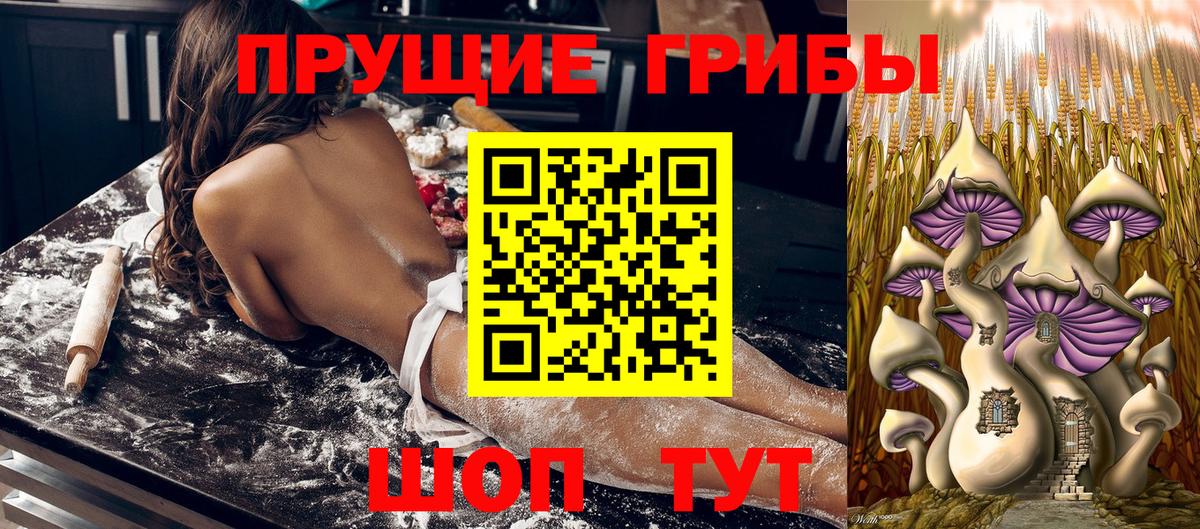 Мончегорск  Галлюциногенные грибы Psilocybe  Псилоцибиновые грибы Psilocybine cubensis  Вход с VPN 